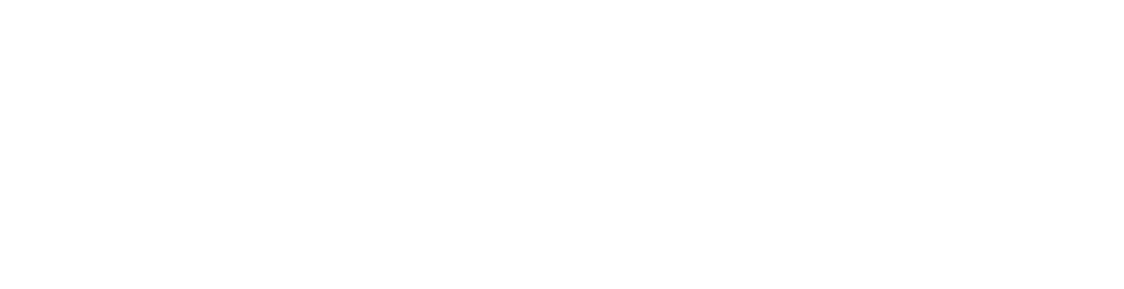 Playmade logo